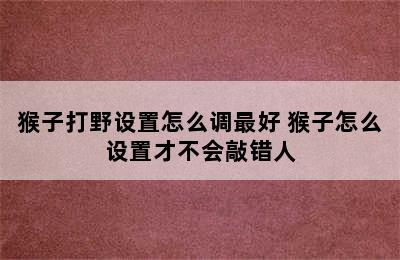 猴子打野设置怎么调最好 猴子怎么设置才不会敲错人